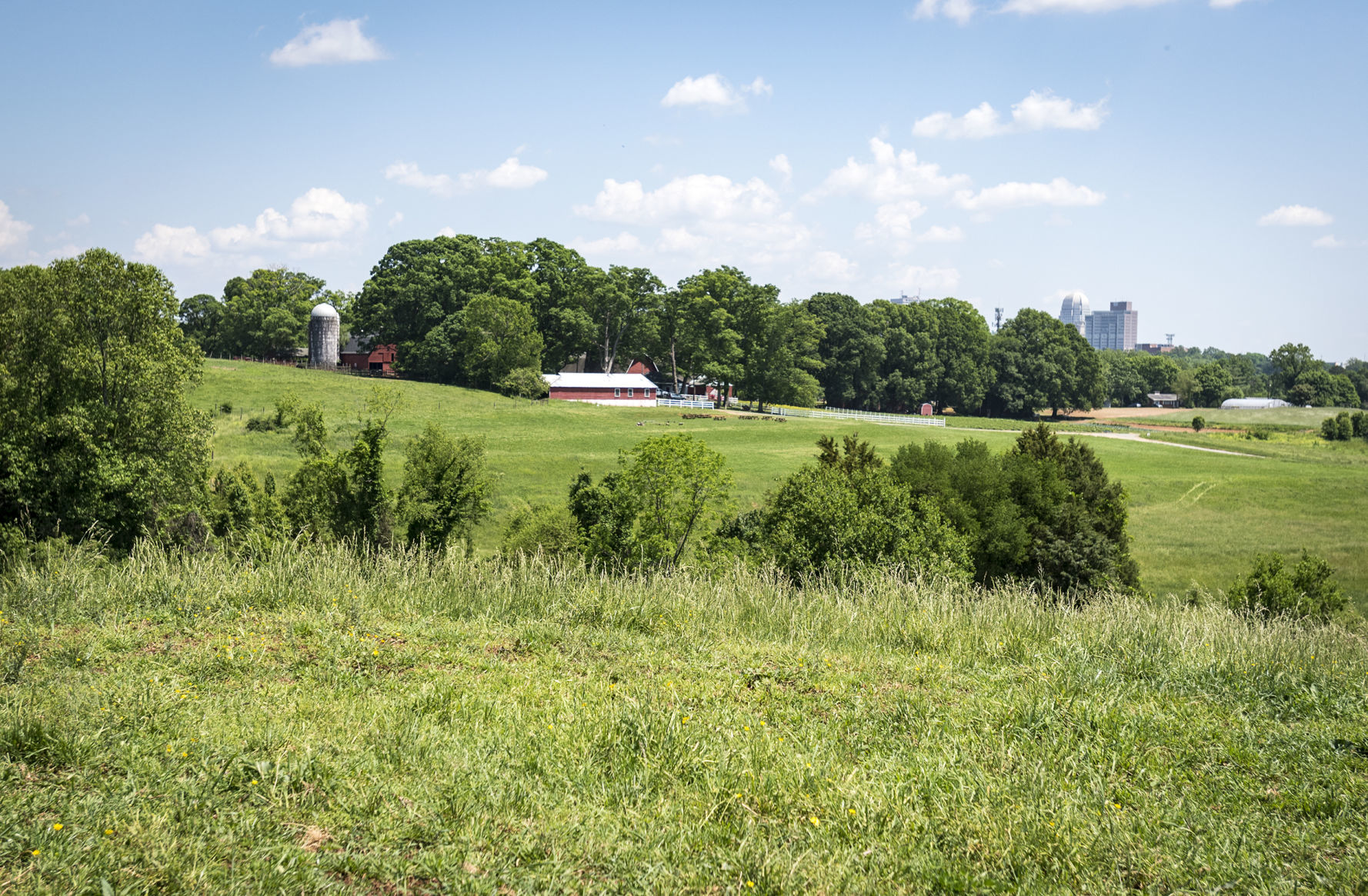 Easement